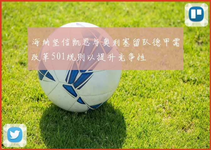 海纳坚信凯恩与奥利塞留队德甲需改革501规则以提升竞争性
